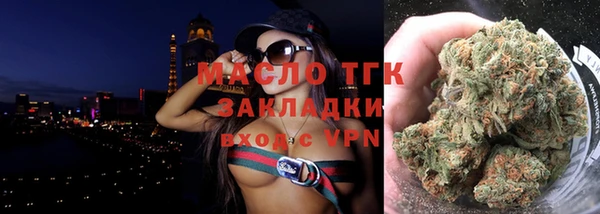 гашик Няндома
