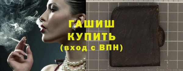 гашик Няндома