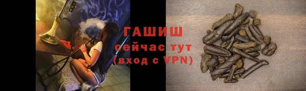 сатива Болхов