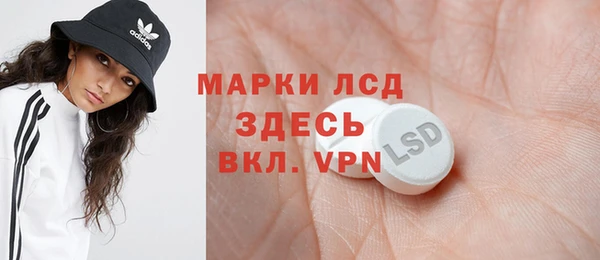 гашик Няндома