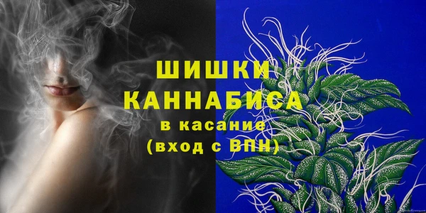 гашик Няндома