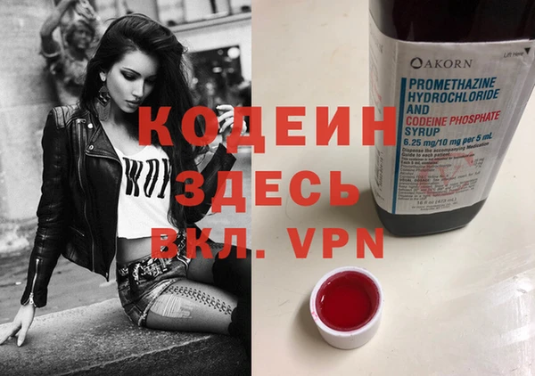 гашик Няндома