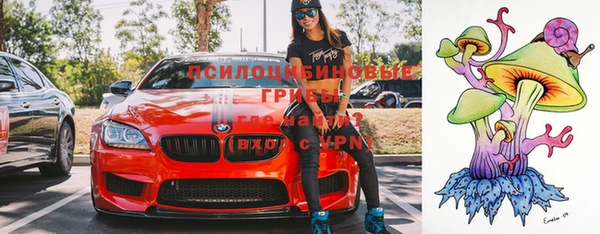 дмт Болотное