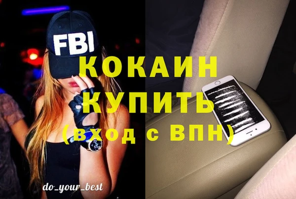 гашик Няндома