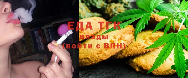 гашик Няндома