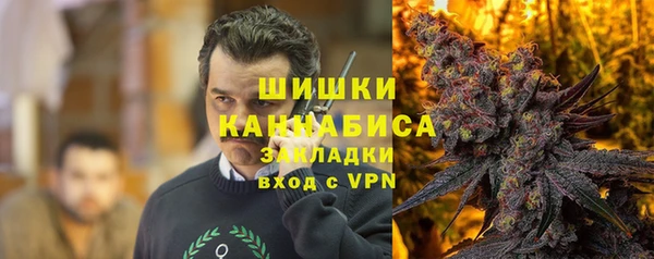 сатива Болхов