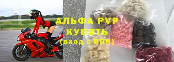 гашик Няндома